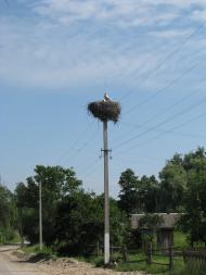 Тальки з panoramio.com