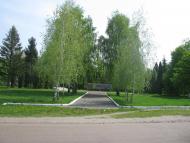 Tynytsya - Latest photos