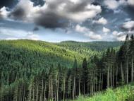 Долішній Шепіт з panoramio.com