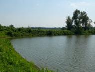 Волошки з panoramio.com