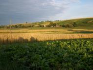 Хорів з panoramio.com