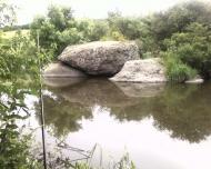 Волошки - Останні фото