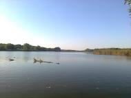 Зелене з panoramio.com