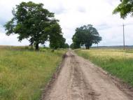 Хорів з panoramio.com