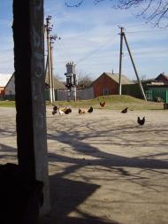 Кирияківщина з panoramio.com