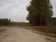 Кирияківщина з panoramio.com