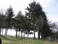 Світанок з panoramio.com