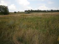 Булацелівка з panoramio.com