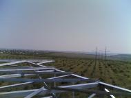 Chervona Zirka - Latest photos