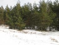 Троянівка з panoramio.com