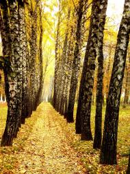 Романівка з panoramio.com