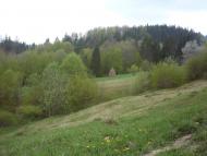 Розтоки з panoramio.com