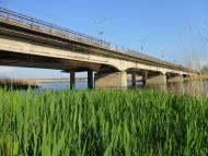 Григорівка з panoramio.com