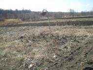 Дулицьке з panoramio.com