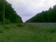 Воловики з panoramio.com