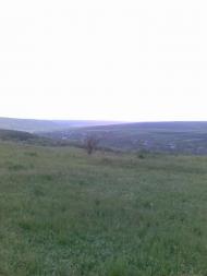 Фуратівка з panoramio.com