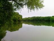 Карло-Марксове з panoramio.com