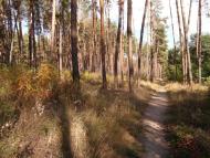 Сіряки з panoramio.com