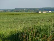 Стаївка з panoramio.com