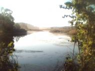 Паліївка з panoramio.com