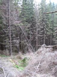 Голошина з panoramio.com