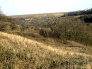 Козакова Балка з panoramio.com