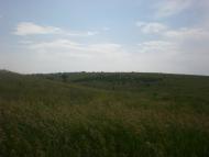 Попасне з panoramio.com