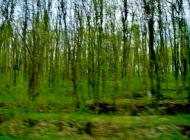 Мурзинці з panoramio.com