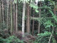 Долішній Шепіт з panoramio.com