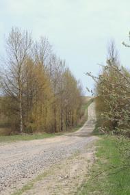Певжа з panoramio.com