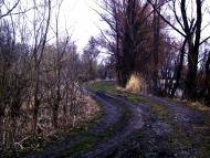 Краснопіль з panoramio.com