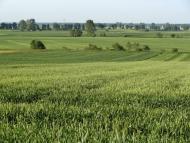 Стаївка з panoramio.com