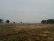 Жиричі з panoramio.com