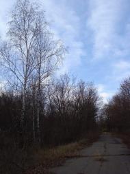 Козацьке з panoramio.com