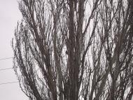 Якимівка з panoramio.com