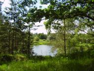 Кирияківщина з panoramio.com