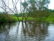 Рудокопи - Останні фото