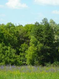 Люджа з panoramio.com