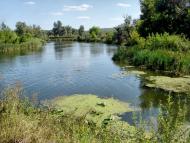 Синичине з panoramio.com