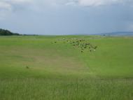 Вигівка з panoramio.com