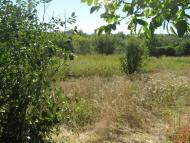 Христове з panoramio.com