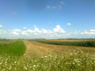 Лідихів з panoramio.com