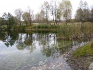 Воловики з panoramio.com