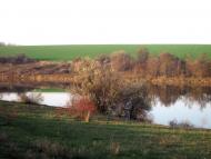 Козакова Балка з panoramio.com