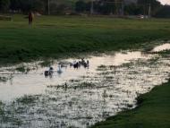 Хорів з panoramio.com