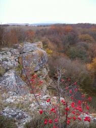 Овражки з panoramio.com