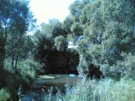 Віленька з panoramio.com