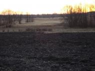 Філатове з panoramio.com