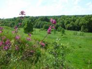 Люджа з panoramio.com