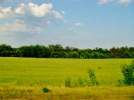 Хлипнівка з panoramio.com